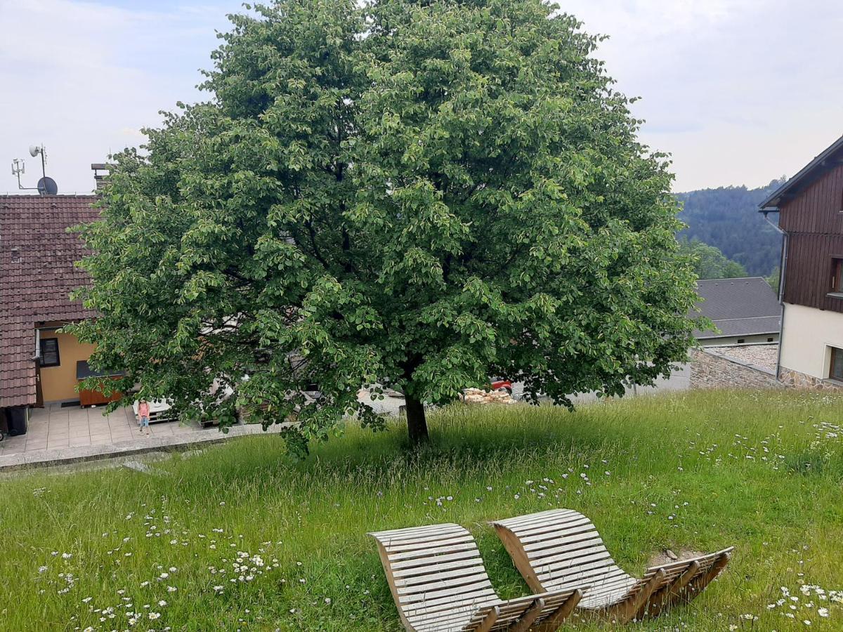 Na Budarce Paseky nad Jizerou Eksteriør billede